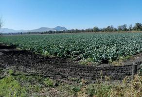 Foto de inmueble en CARRETERA CORTAZAR SALVATIERRA, Col. El Progreso C.P. 38900, Salvatierra