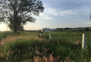 Foto de inmueble en Carretera guadalajara Zapotlanejo, Col. Colinas de Tonalá C.P. 45402, Tonalá
