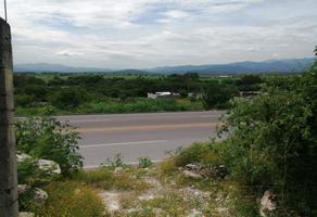Foto de inmueble en Carretera Jojutla-Tequesquitengo, Col. Vicente Guerrero C.P. 62785, Zacatepec