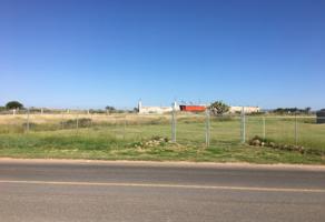 Foto de inmueble en carretera la trinidad #36264, Col. La Trinidad C.P. 36264, Guanajuato