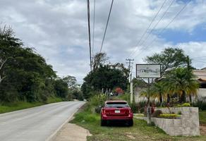 Foto de inmueble en carretera las trancas-coatepec #1, Col. La Estanzuela C.P. 91637, Emiliano Zapata