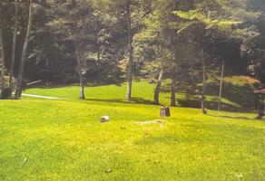 Foto de inmueble en Carr. Nac. Km 145, Col. Piletas C.P. 91315, Rafael Lucio