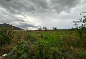 Foto de inmueble en Carretera Tala - Santa Cruz de las Flores, Col. San Isidro Mazatepec C.P. 45340, Tala