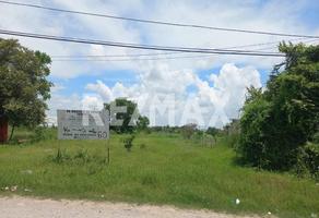 Foto de inmueble en Carretera Valles Tampico, Col. Confederación Nacional Campesina (Canoas) C.P. 92015, Pánuco