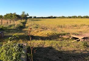 Foto de inmueble en  , Col. Casas Grandes C.P. 31850, Casas Grandes