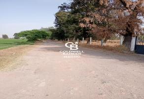 Foto de inmueble en Cayeyetano, Col. Estancia del Llano (San José del Llano) C.P. 38197, Apaseo el Grande