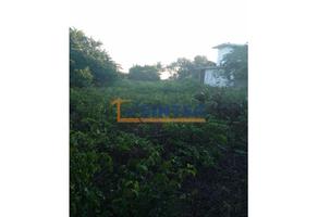 Foto de inmueble en  , Col. Cazones de Herrera Centro C.P. 92980, Cazones de Herrera