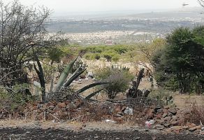 Foto de inmueble en Arboleda de Alcocer s/n., Col. Alcocer C.P. 37886, San Miguel de Allende