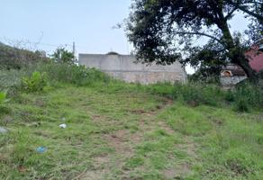 Foto de inmueble en Ing Carlos Ramirez Ulloa #sn, Col. Tlatlauquitepec C.P. 73900, Tlatlauquitepec