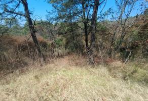 Foto de inmueble en Bosques de Altavista, Col. Los Triguillos C.P. 61323, Charo
