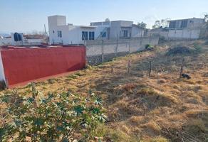 Foto de inmueble en Cedro, Col. Papayos C.P. 62323, Cuernavaca