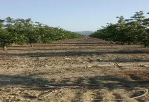 Foto de inmueble en  , Col. Cerro Colorado C.P. 27993, Parras