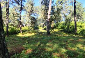 Foto de inmueble en 1000m de Terreno en Cerro Gordo, Avándaro, Zona Residencial, Col. Cerro Gordo C.P. 51239, Valle de Bravo