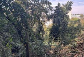 Foto de inmueble en Loma de la Palma, Lomas de Vista Hermosa, 05100 Ciudad de México, CDMX, Col. Lomas de Vista Hermosa C.P. 05100, Cuajimalpa de Morelos