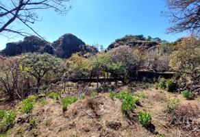 Foto de inmueble en Tepehuajes  #s/n, Col. Santo Domingo Ocotitlán C.P. 62524, Tepoztlán