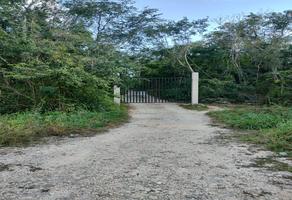 Foto de inmueble en , Col. Chemax C.P. 97770, Chemax