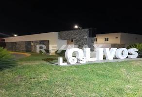 Foto de inmueble en Circuito los Nisperos "Los Olivos", Col. Zona Industrial y Secciones C.P. 35078, Gómez Palacio