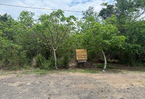 Foto de inmueble en Terreno en Buena Vista, Pueblo Viejo, Veracruz, Col. Ciudad Cuauhtémoc C.P. 92030, Pueblo Viejo