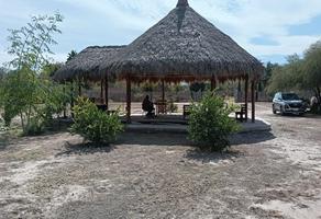 Foto de inmueble en  , Col. Ciudad Juárez C.P. 35180, Lerdo