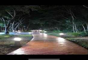Foto de inmueble en  , Col. Ciudad Mayakoba C.P. 77724, Solidaridad