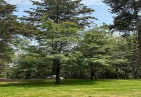 Foto de inmueble en  , Col. Club de Golf Mayorazgo C.P. 72460, Puebla