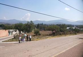 Foto de inmueble en coacomulco, Col. La Hera C.P. 56070, Tepetlaoxtoc