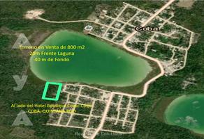 Foto de inmueble en  , Col. Coba C.P. 77793, Tulum