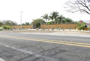 Foto de inmueble en Col. Centro, Col. Puente de Ixtla Centro C.P. 62660, Puente de Ixtla