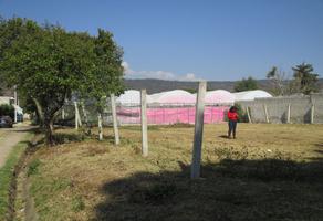 Foto de inmueble en Conocida, Col. Francisco Zarco C.P. 52410, Tenancingo