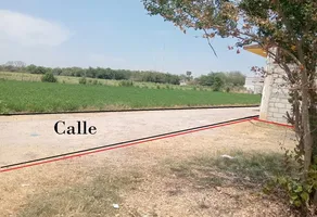 Foto de inmueble en Conocido, Col. 20 de Noviembre C.P. 62780, Zacatepec