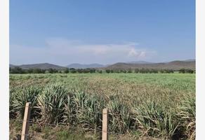 Foto de inmueble en  , Col. Cuauhtémoc C.P. 28500, Cuauhtémoc