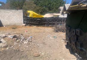 Foto de inmueble en XICOHTENCATL, Col. San Buenaventura C.P. 90796, Papalotla de Xicohténcatl