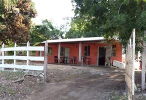 Foto de inmueble en S-N #S-N, Col. Concepción C.P. 24658, Calakmul