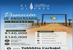 Foto de inmueble en 22940 San Quintín, B.C. #s/n, Col. Nuevo Centro de Población Padre Kino C.P. 22925, San Quintín