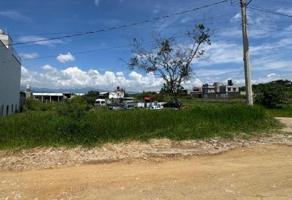 Foto de inmueble en San Juan Bautista Tuxtepec, Oax., Col. Amigos Charros C.P. 68340, San Juan Bautista Tuxtepec