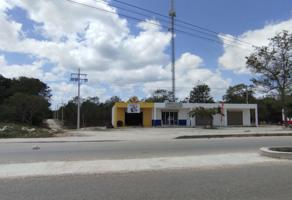 Foto de inmueble en 77796 Francisco Uh May, Q.R., Col. Francisco Uh-May C.P. 77796, Tulum