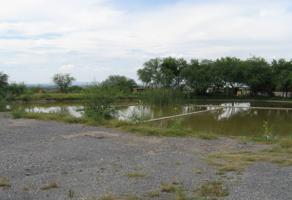 Foto de inmueble en Carretera Monterrey Laredo #000, Col. Ciudad Sabinas Hidalgo Centro C.P. 65200, Sabinas Hidalgo