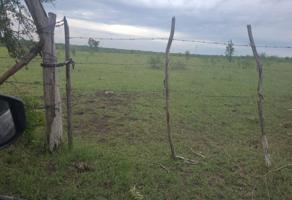 Foto de inmueble en AGRICOLA GANADERA COAHUILA, Col. Uno Dicha C.P. 92004, Pánuco