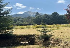 Foto de inmueble en Carretera Picacho-Ajusco #s/n, Col. Santo Tomas Ajusco C.P. 14710, Tlalpan