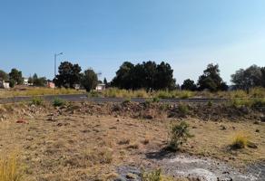 Foto de inmueble en TEPETATAL #s/n, Col. La Trinidad Tepehitec C.P. 90115, Tlaxcala