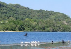 Foto de inmueble en laguna, Col. Chacahua C.P. 71814, Villa de Tututepec