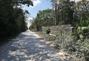 Foto de inmueble en  , Col. Del Bosque C.P. 77527, Benito Juárez