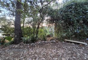 Foto de inmueble en , Col. Del Bosque C.P. 62150, Cuernavaca