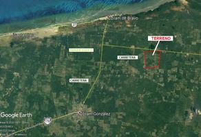 Foto de inmueble en Terreno con 474 ha a Solo 10 km de la Playa de Dzilam Bravo, Carretera Pavimentada., Col. Dzilam de Bravo C.P. 97606, Dzilam de Bravo