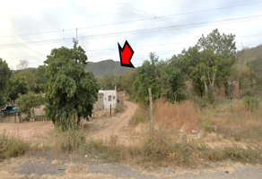 Foto de inmueble en PREDIO SAN JOSÉ BACOSIRA, Col. Terrero de los Guerrero C.P. 81544, Salvador Alvarado