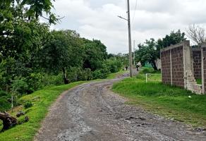 Foto de inmueble en 74368 San Félix Hidalgo, Pue. #s/n, Col. Ex Hacienda San Félix C.P. 74368, Atlixco
