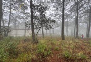 Foto de inmueble en Xalapa - Puebla, 91335 Las Vigas de Ramírez, Ver., Col. Loma de Tablas C.P. 91335, Las Vigas de Ramírez