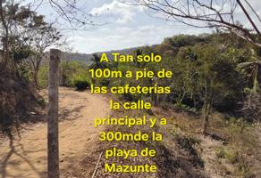 Foto de inmueble en 70947 Mazunte, Oax., Col. Mazunte C.P. 70947, Santa María Tonameca