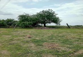 Foto de inmueble en Río Bravo, Tamaulipas #s/n, Col. Cuauhtémoc C.P. 88950, Río Bravo