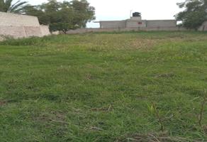 Foto de inmueble en Primavera, Col. Santo Domingo Ajoloapan C.P. 55754, Tecámac